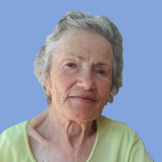 Maria Arminda Lopes Pereira Mendes