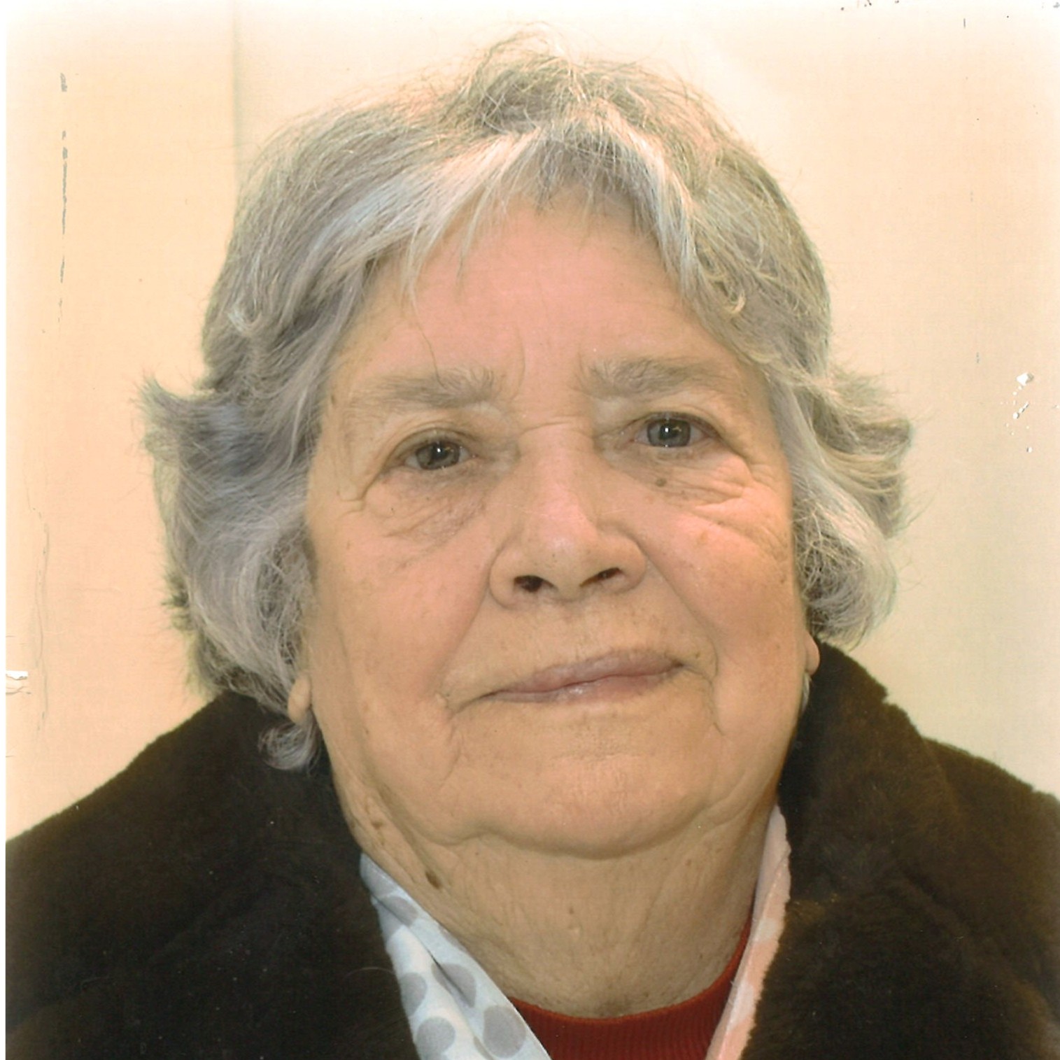 Maria Fernanda Moreira da Silva