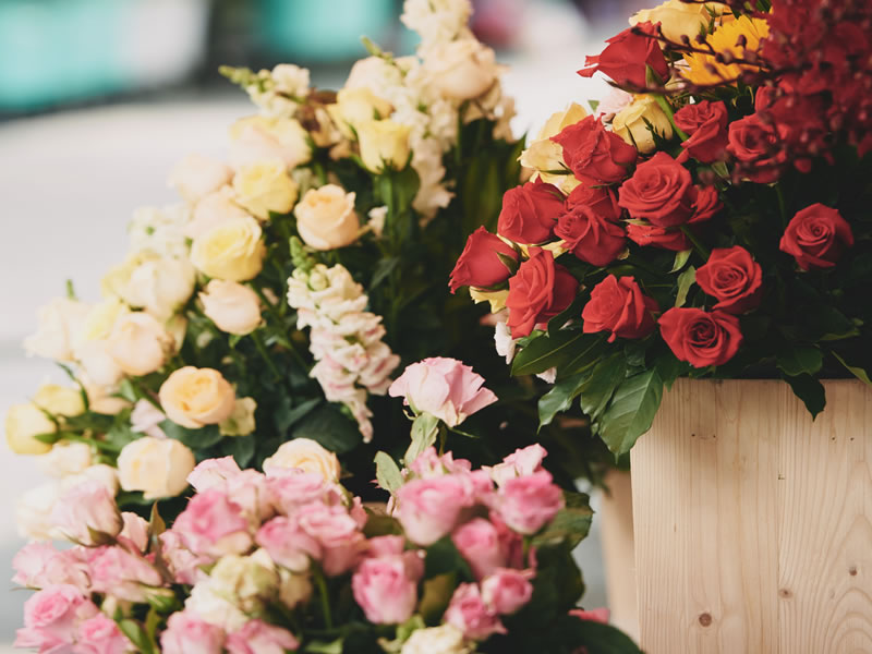 Servio de<br> Florista